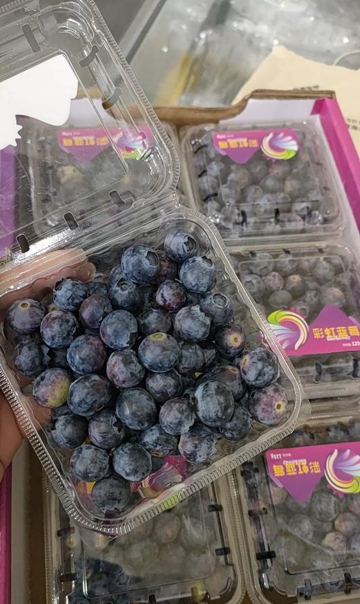 彩虹蓝莓（大果） 约125g/盒【BH】【OZR】 商品图1