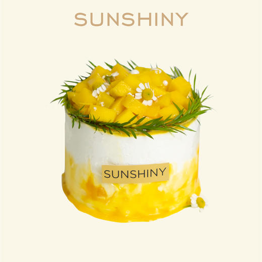 经典常伴4英寸小蛋糕（芒芒心动/蓝莓多多） 商品图0