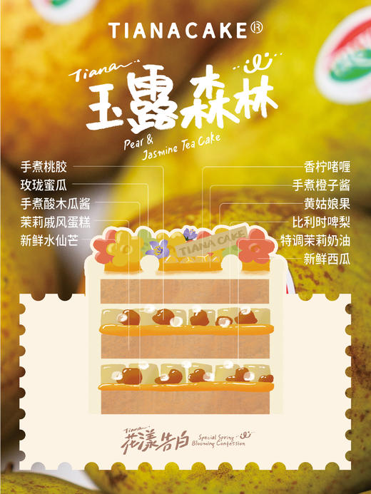 四寸玉露森林 商品图1