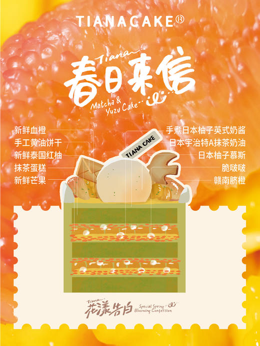 四寸春日来信 商品图1