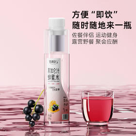 388g贺源记黑加仑汁蜂蜜水