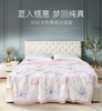 【4月】卡撒天娇 双丝水洗桑蚕丝薄被【7F童床】[广百北京路店] 商品缩略图0