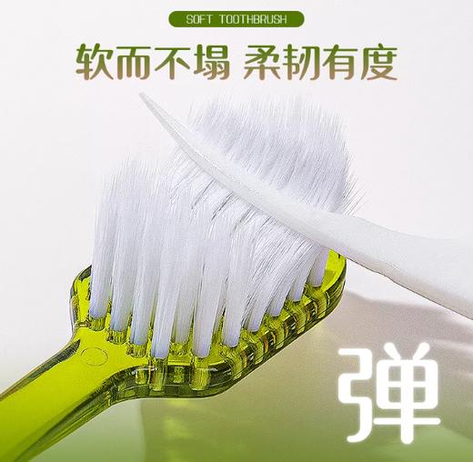 ITO艾特柔成人晶莹软毛牙刷2只装（琥珀绿/棕） 商品图3