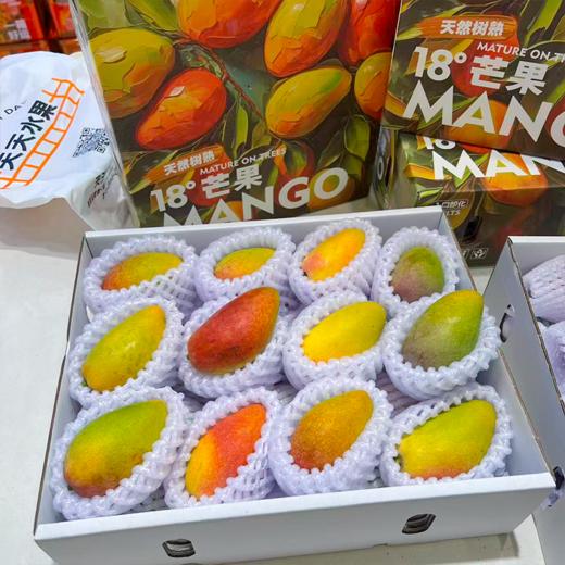 海南空运贵妃芒 芒果 甜 芒果味浓郁 商品图1