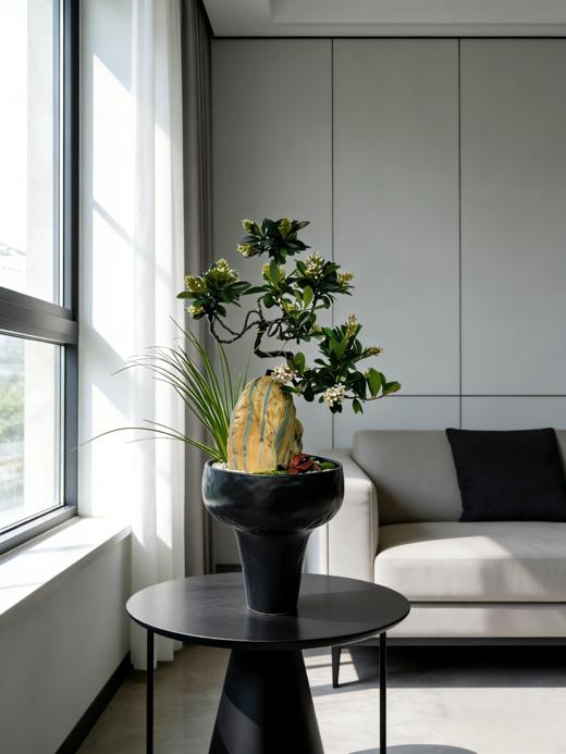 附石春花 商品图2