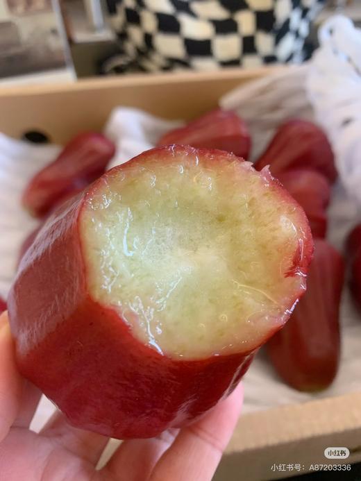 海南黑金刚莲雾 500g/份 商品图4