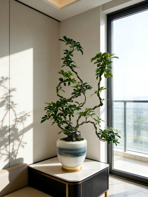 造型吸财木 商品图2