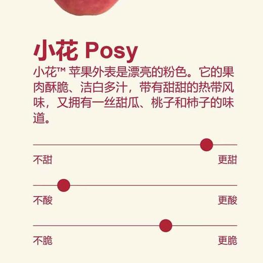 新西兰Posy™小花「苹果」礼盒款 整件 约2.5kg 商品图6