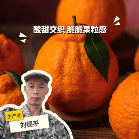 【特惠5.7折，现摘现发】生态不知火（丑橘，口感偏酸） | 合作生产 *Ecological Umeboshi Orange | Partner Production