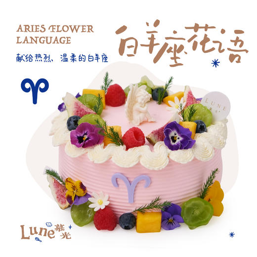白羊座花语 商品图0