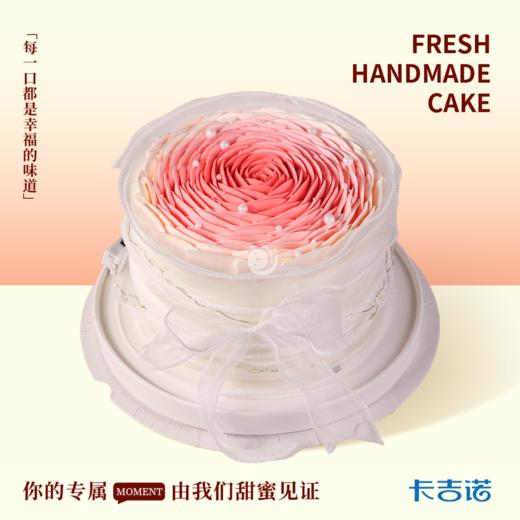 6英寸爱与守护 商品图0