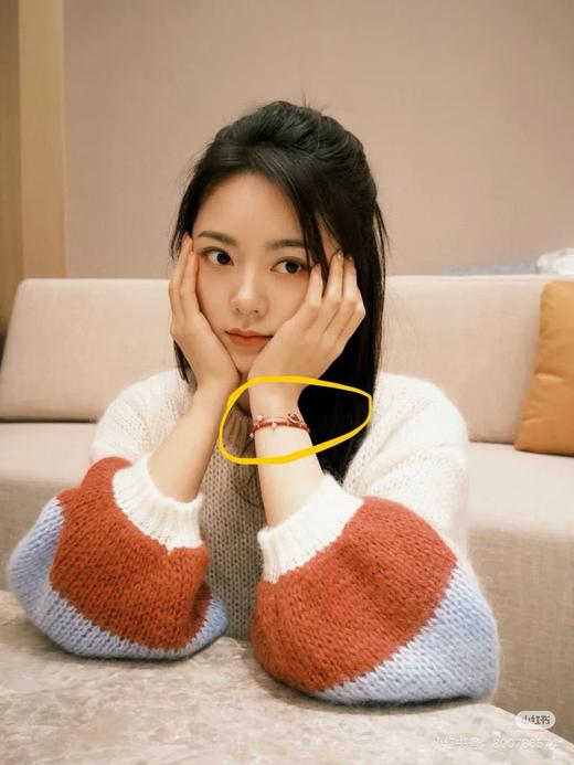 天然红玛瑙串珠+真空镀金小马吊坠+施华洛世奇水钻.. 商品图5