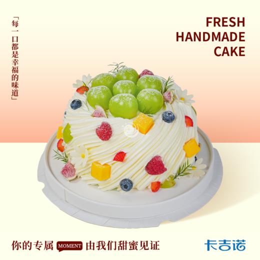 绿野仙踪 商品图0