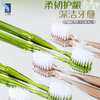 ITO艾特柔成人晶莹软毛牙刷2只装（琥珀绿/棕） 商品缩略图2