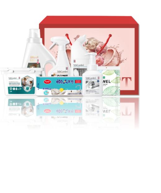 蔬果园家庭清洁套装2026-SGY-06 商品图0
