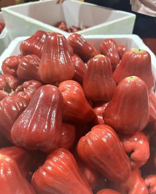 海南黑金刚莲雾 500g/份 商品图0