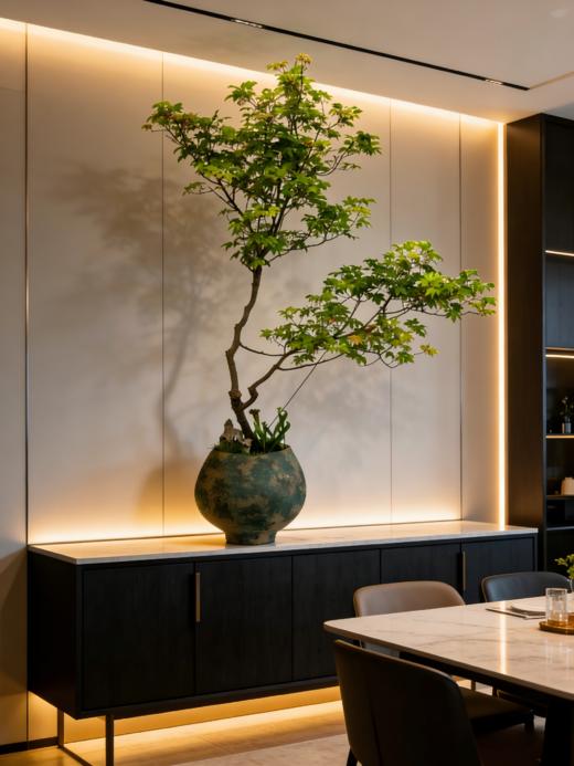 海岛石枫 商品图2