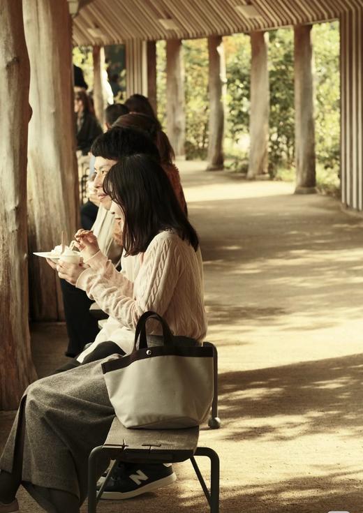 无折扣 Herve Chapelier同款法国贵妇包通勤手提帆布包 船型手提包 商品图4