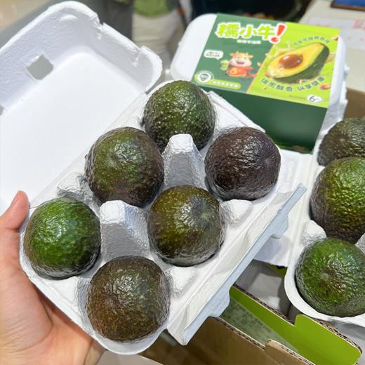 糯小牛即食牛油果  树熟果口感更丝滑 商品图1