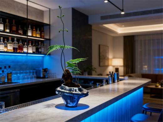 网红蕨 商品图2