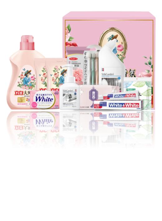 立白家庭清洁套装2026-LB-04 商品图0