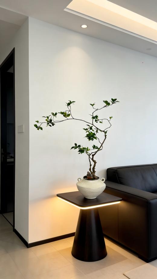 造型栀子花 商品图2