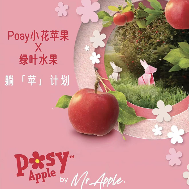 新西兰Posy™小花「苹果」礼盒款 整件 约2.5kg