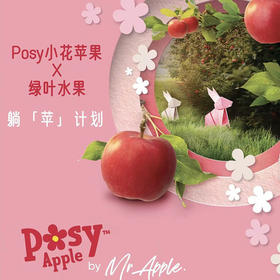 新西兰Posy™小花「苹果」礼盒款 整件 约2.5kg