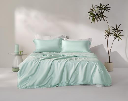 【4月】罗莱 莱赛尔云感被-夏【7F童床】[广百北京路店] 商品图1