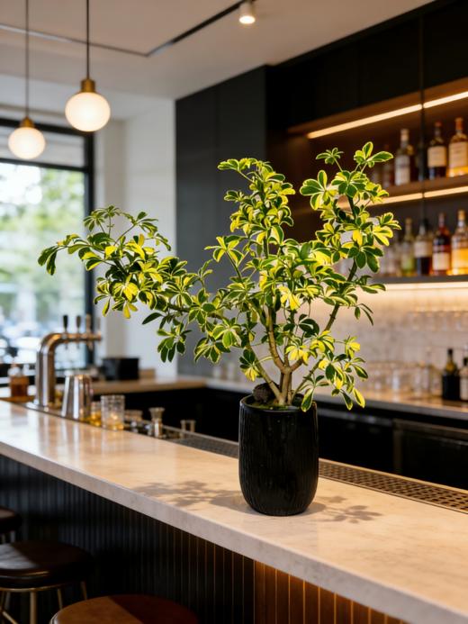 造型吸财木 商品图2