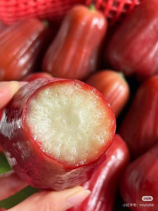 海南黑金刚莲雾 500g/份 商品图3