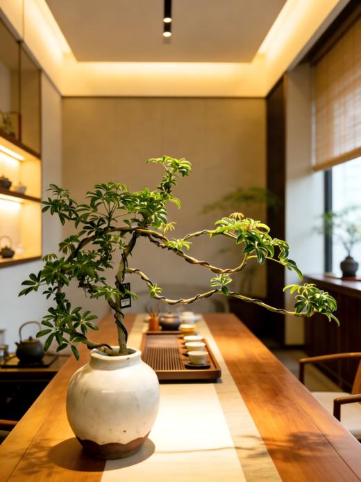 造型吸财木 商品图2