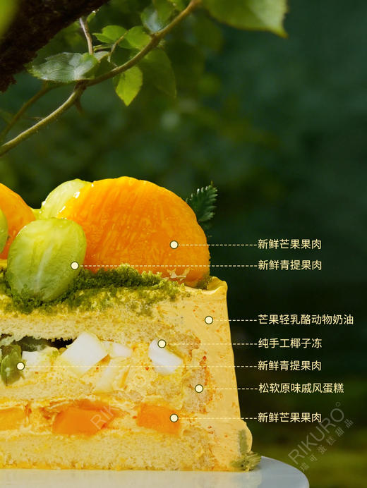 【白羊座♈3.21～4.19】芒果青提椰椰星座生日蛋糕 商品图2