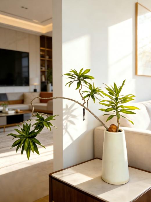 造型百合竹 商品图1