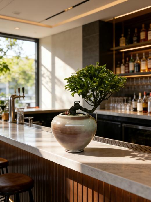 造型紫檀 商品图2