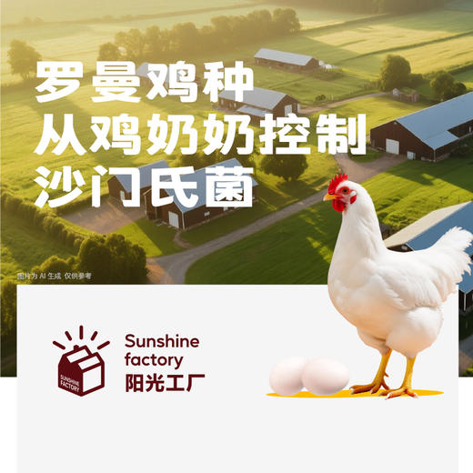 【OMEGA-3营养蛋&6盒周期购】OMEGA-3营养蛋30枚/盒电商装 商品图6