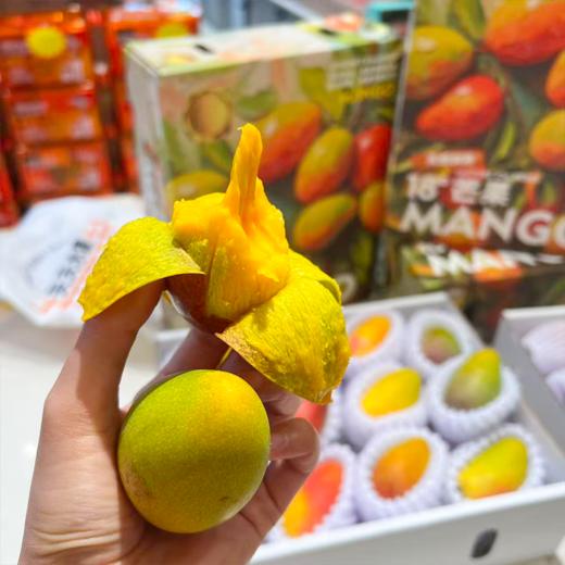 海南空运贵妃芒 芒果 甜 芒果味浓郁 商品图0