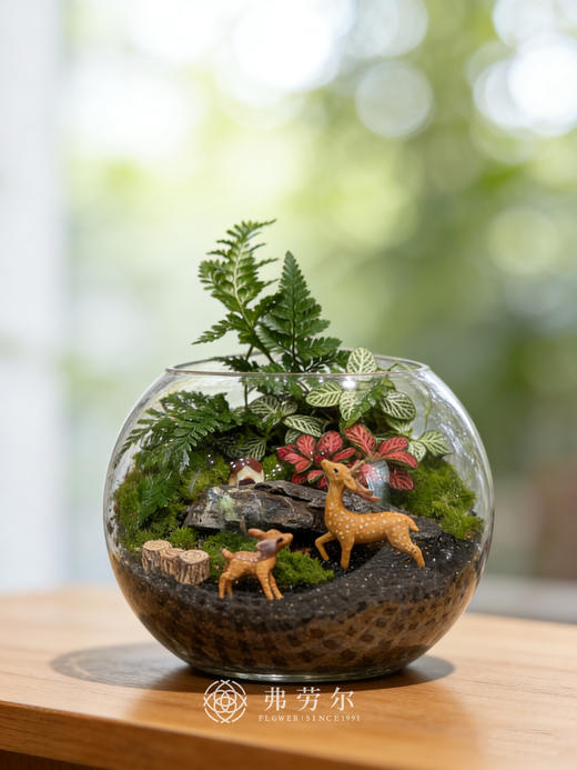 圆形微景观（小） 商品图0