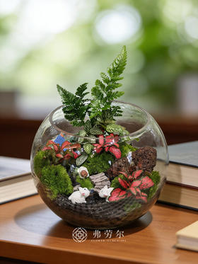 圆形微景观（小）