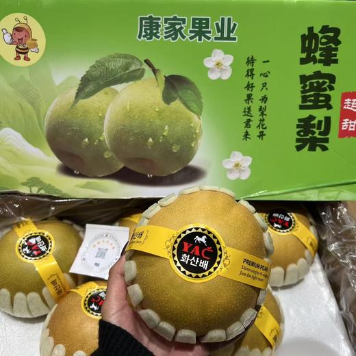 蜂蜜梨   脆甜口 梨果 商品图1