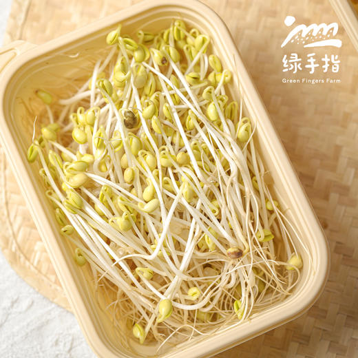 生态黄豆芽 | 绿家自产* Ecological soybean sprouts | Self-production 商品图3