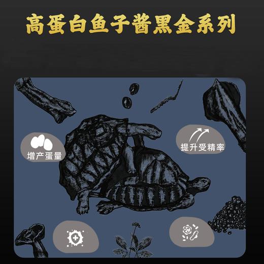 【命脉鱼子酱】龟粮：适合水龟/半水龟，对幼龟发色，种龟发情有奇效 商品图3