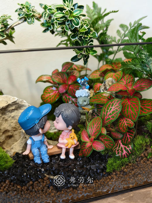 房屋微景观（大） 商品图1