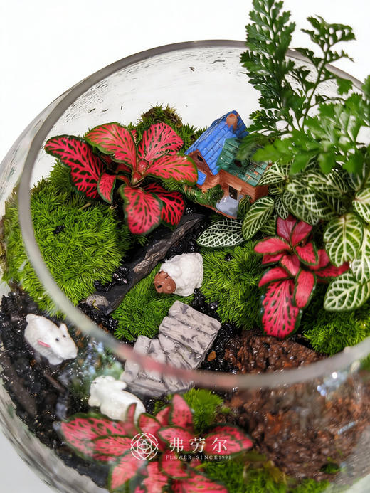 圆形微景观（小） 商品图2