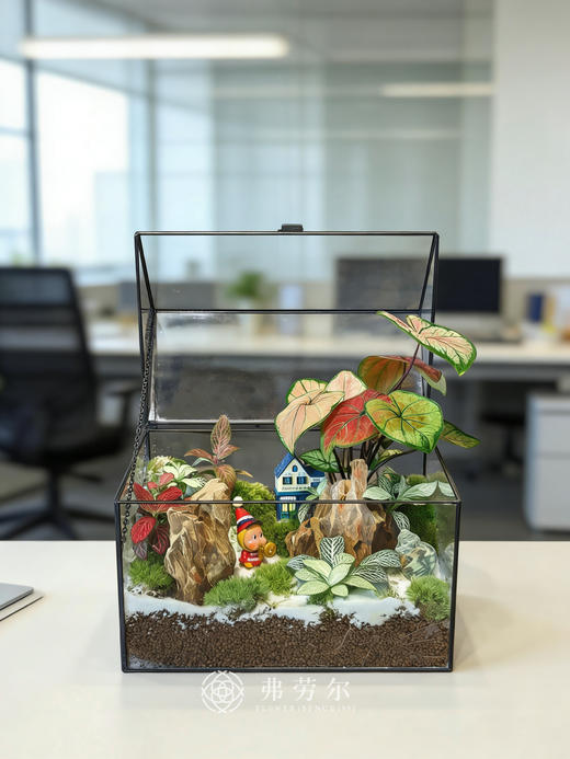 房屋微景观（大） 商品图1