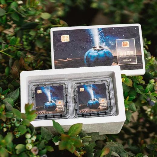 塔漠DE莓 . 新疆蓝莓 来自新疆塔克拉玛干沙漠 当季鲜果 商品图4