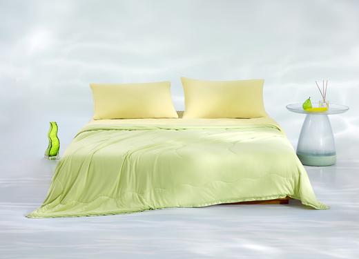 【4月】罗莱 冰肌小凉皮被-夏2.0【7F童床】[广百北京路店] 商品图1