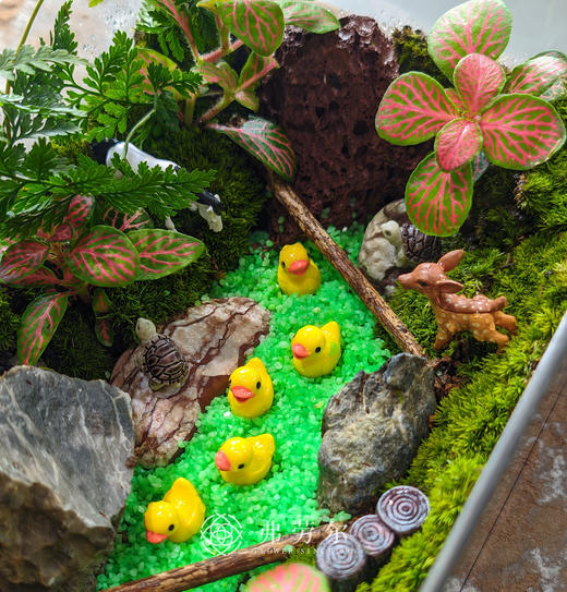 房屋微景观（大） 商品图1