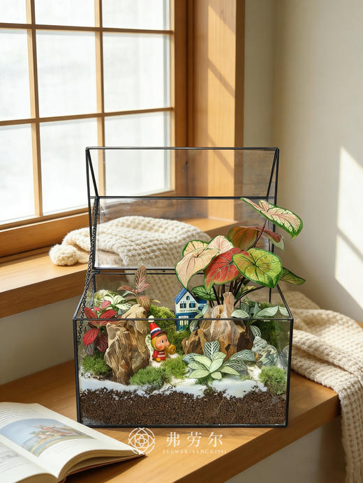 房屋微景观（大） 商品图0