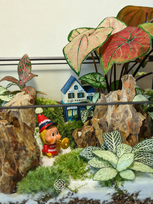 房屋微景观（大） 商品图2